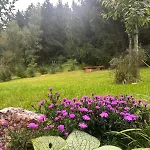 Dom wakacyjny Am Wald