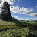Dom wakacyjny Am Wald Schleusingen