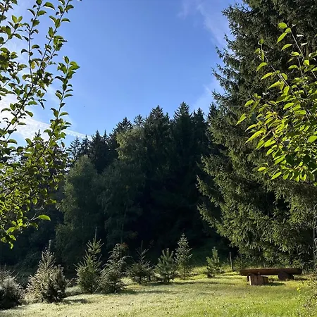 Am Wald Σπίτι διακοπών Schleusingen