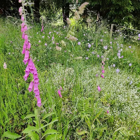 Am Wald Σπίτι διακοπών *