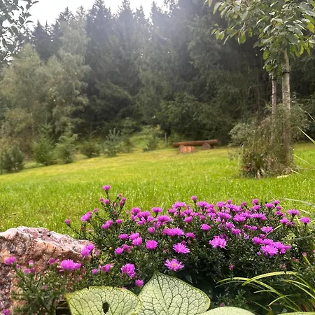 Σπίτι διακοπών Am Wald