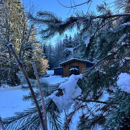 Am Wald *