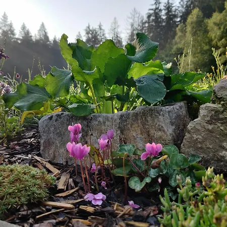 Am Wald Holiday home