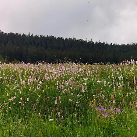 Holiday home Am Wald