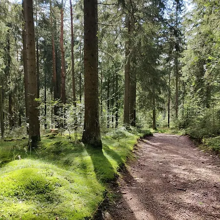Am Wald Schleusingen