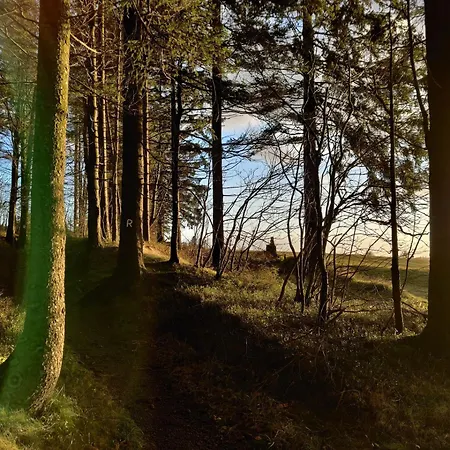 Am Wald