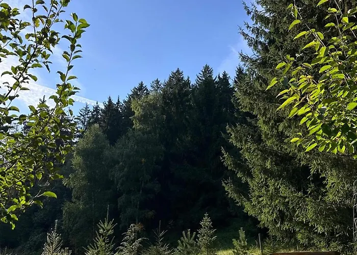 Am Wald Holiday home Schleusingen