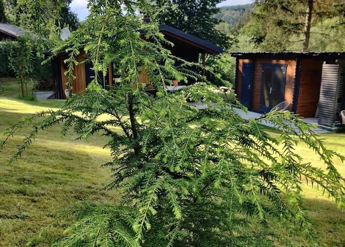 Holiday home Am Wald Schleusingen