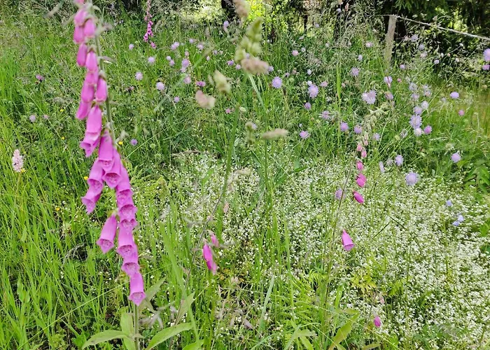 Am Wald Holiday home *