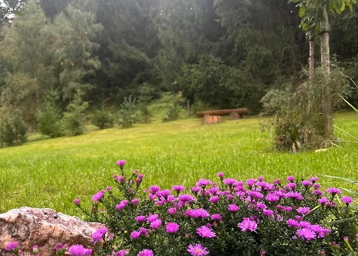 Holiday home Am Wald