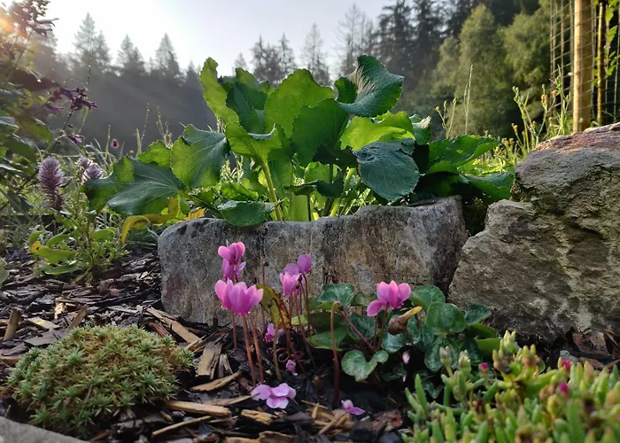 Am Wald Holiday home