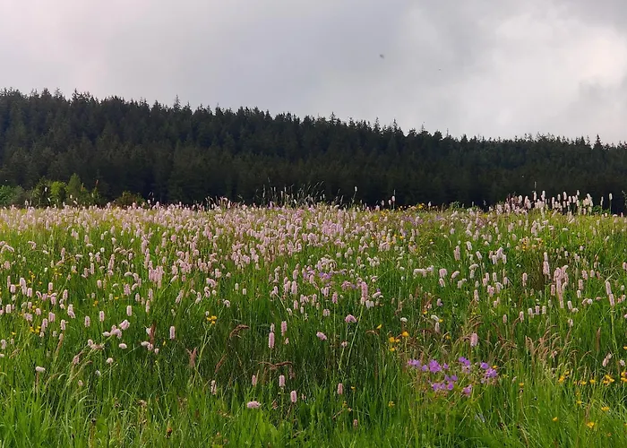 Holiday home Am Wald