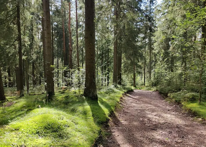 Am Wald Schleusingen