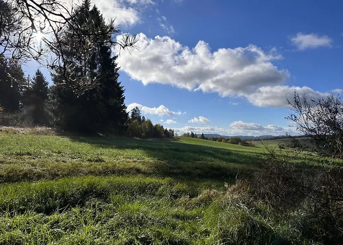 Holiday home Am Wald Schleusingen